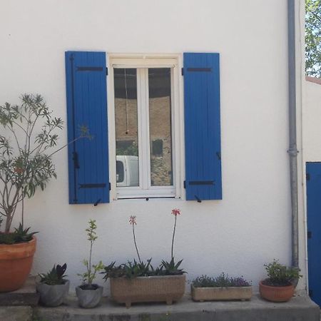 Maison Occitane Saint-Nazaire-d'Aude Εξωτερικό φωτογραφία